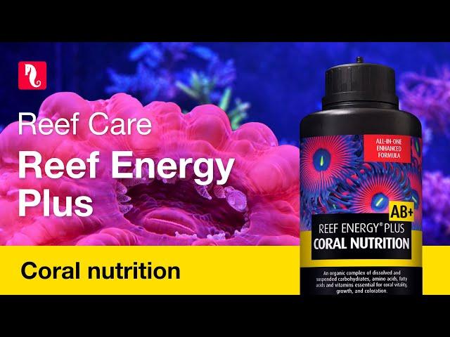 Red Sea Reef Energy Plus | Complete, all-in-one Coral Food