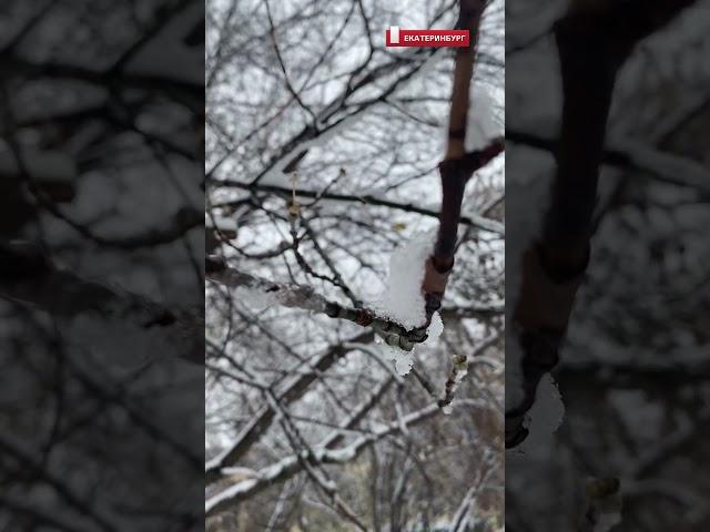 Как пережить осеннюю хандру