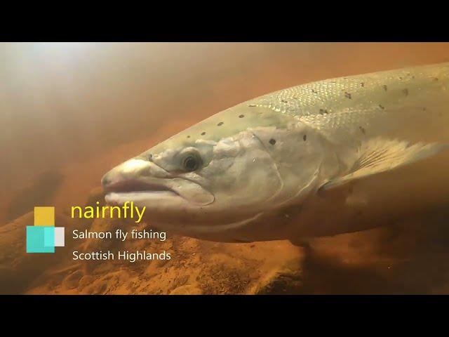 Salmon fly fishing Scotland - Nairnfly