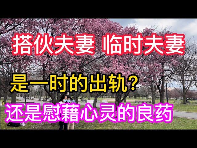 搭伙夫妻 华人圈很普遍 你支持还是反对？