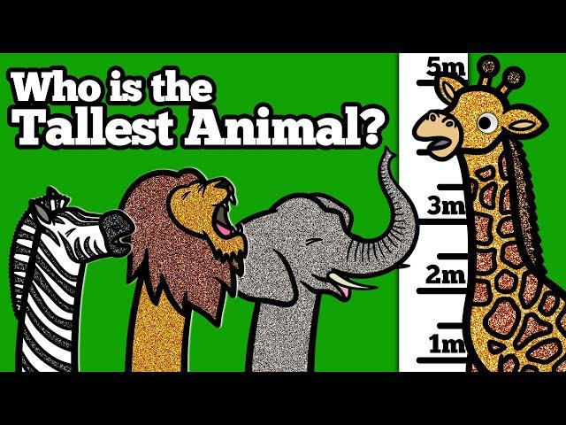 Giraffe is the Tallest Safari Animal! | Giraffe Helps Herbivore Animals and Carnivore Lion Family