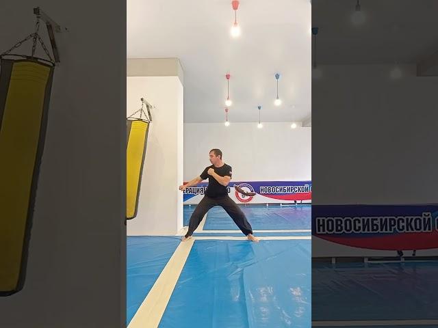 #единоборства #боевыеискусства #вандамм #brucelee #джекичан