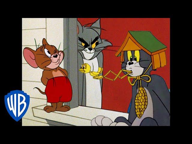 Tom & Jerry in italiano  | I Re dei Dispetti | WB Kids