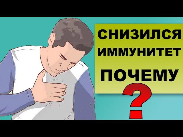 ПОЧЕМУ СНИЖАЕТСЯ ИММУНИТЕТ