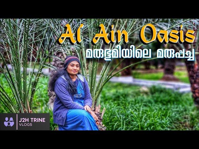 Al ain Oasis Abudhabi UAE | UNESCO World Heritage Site | UAE's Largest Oasis | J2H Trine Vlogs