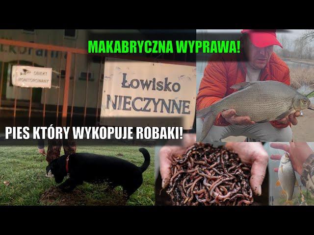 WYRZUCENI Z ŁOWISKA I SKAZANI NA PORAŻKĘ - MAKABRYCZNIE TRUDNA WYPRAWA WĘDKARSKA