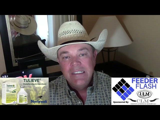 Feeder Flash 8/16:  Beef Retailers Pocketing