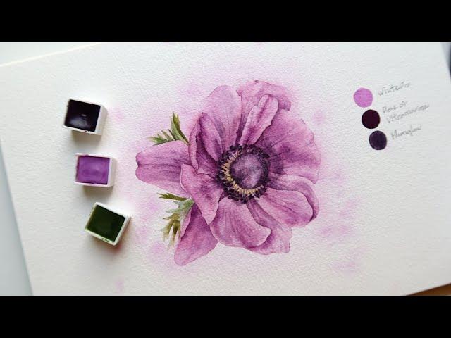 빈티지한 느낌의 아네모네 수채화|How to paint watercolor Anemone