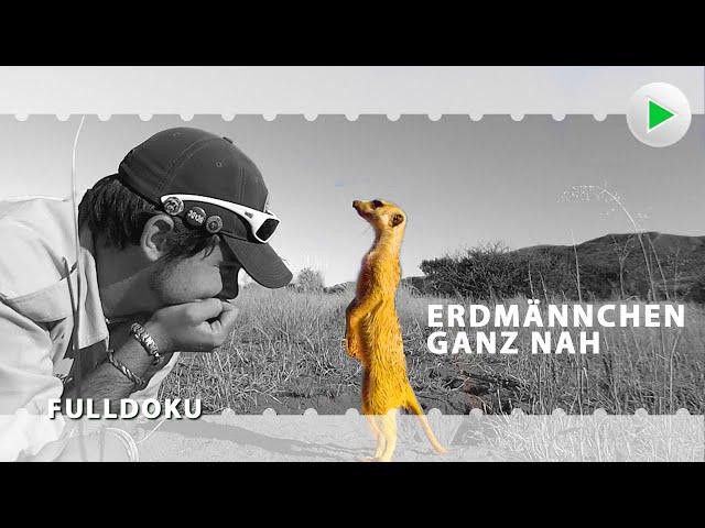 ERDMÄNNCHEN DOKU: FOLGE 1  Exklusiv HD Tierdoku in voller Länge  Dokumentarfilm deutsch 2024