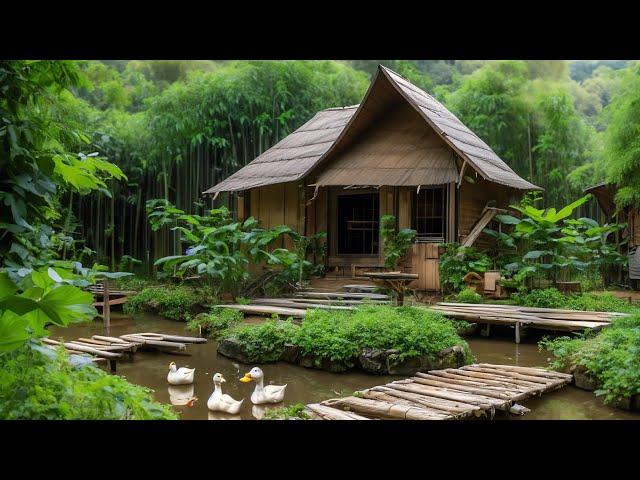 Bamboo House in the middle of nature - Construction journey and self-sufficient life