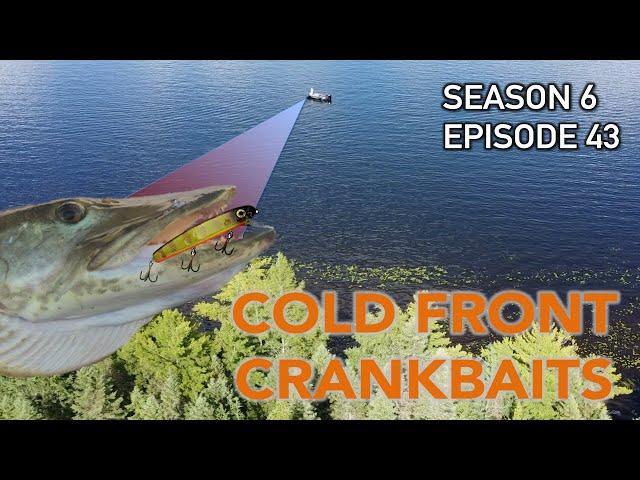 Cold Fronts = CRANKBAITS for Muskies! Crankbait Secrets | S6.E43