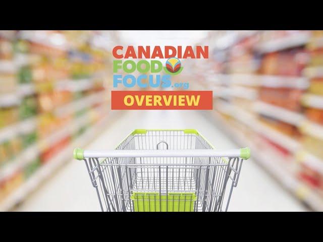 What is Canadian Food Focus?