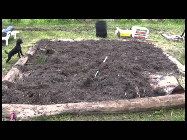 Building the Sheet Mulch Garden - Full length version