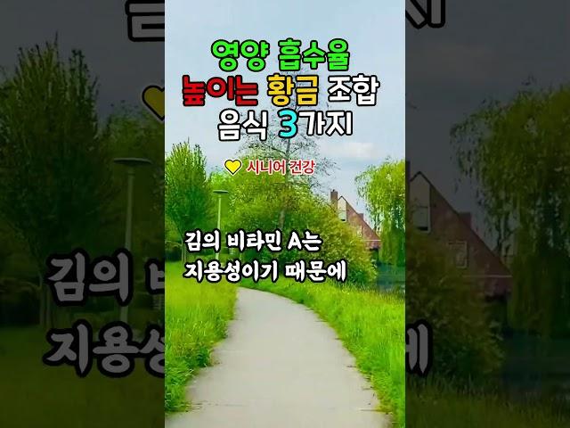 영양 흡수를 높이는 음식 조합 3가지  시니어를 위한 건강 식단  #시니어건강 #토마토올리브유 #현미두부 #김참기름 #영양흡수 #건강식단 #9988건강정보