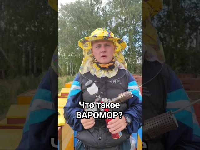 Нюансы пчеловодства. Борьба с варроной.