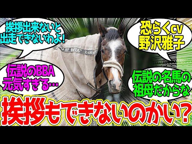 ハーヘアばあちゃん、朝のあいさつをしないポニーを追いかける…に対するみんなの反応！【競馬 の反応集】