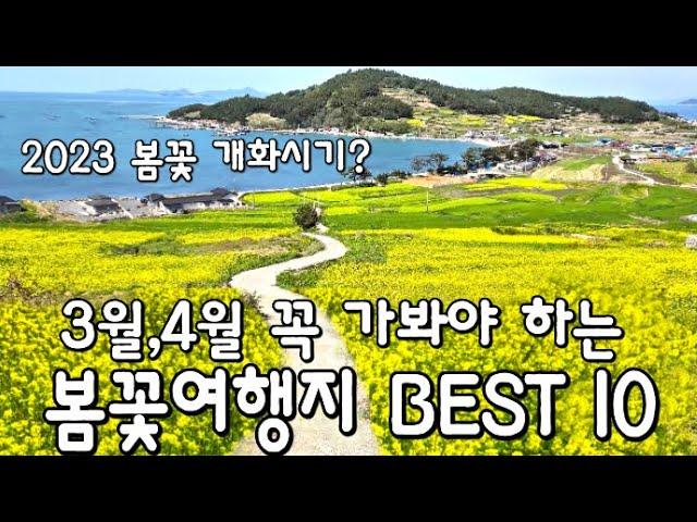 3월 4월 꼭 가봐야 할 봄여행지 10곳- 2024 봄꽃 개화시기는? Korean Spring attractions BEST10- spring flower trip