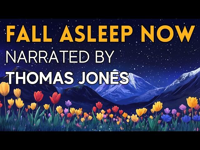 A Very COZY Story  A Sleepy Journey to Welsh South America - FALL ASLEEP FAST