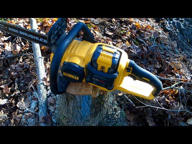 What good is a battery chainsaw, can you cut real trees with them - using a Dewalt chainsaw for TSI