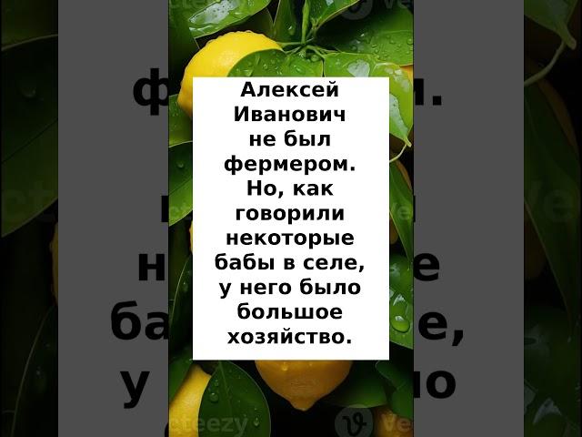 Вот так хозяйство