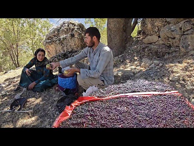 Good Moments in an Interesting Trip: Atabek and Shaheen Adventure in The Forest