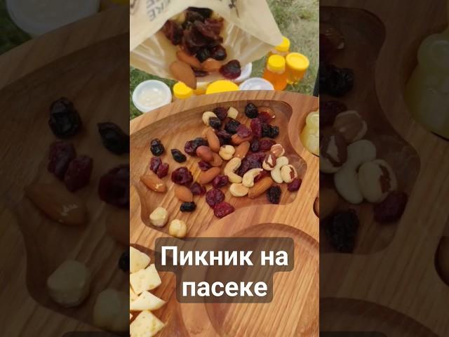 #пасека #пчеловодство #мёд #пчелы #волгоград