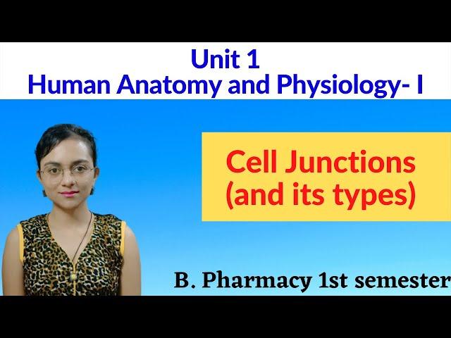 Cell Junction | types of cell junction | unit 1 | Human anatomy and Physiology | B pharmacy 1st sem