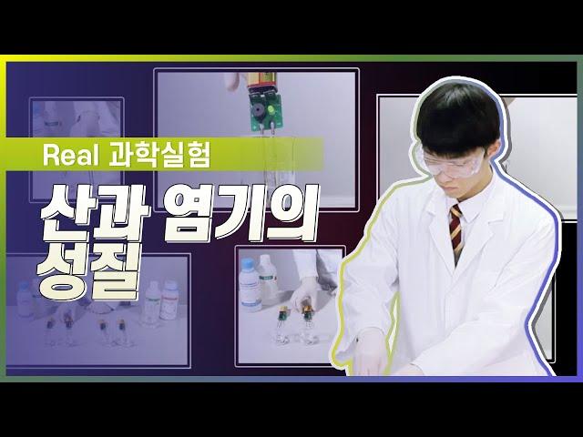 산과 염기의 성질 l Real 과학 실험