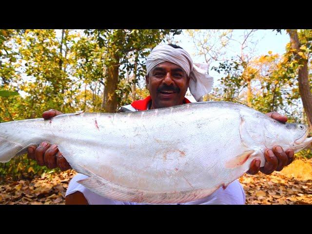 Doi Echor & Bengali special Sorshe Chital | Doi Kathal recipe | Green Jackfruit & Chital fish recipe