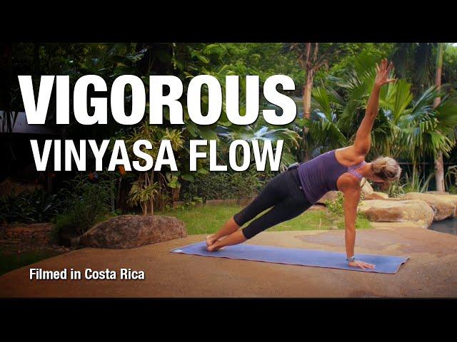 Vigorous Vinyasa Flow Yoga Class (30 min) - Five Parks Yoga