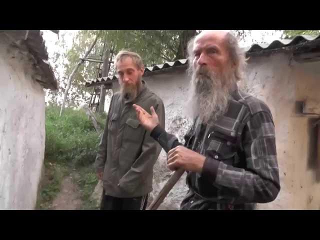 Кошки, Никита и беспечность.