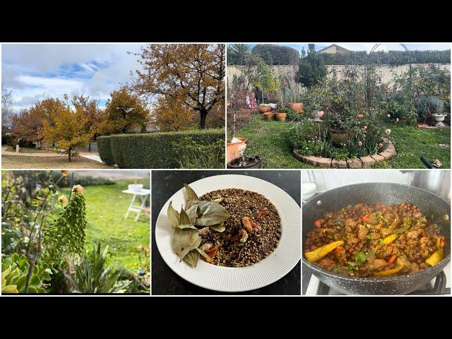 Early Winter Garden/ Garam Masala/ Chicken Giblets ka chana ga kanghou