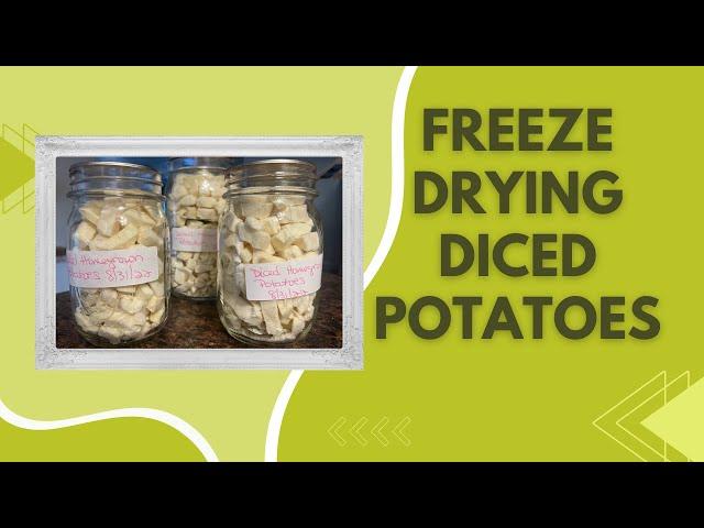 Freeze Drying Diced Potatoes #harvestright #yogihollowfarm