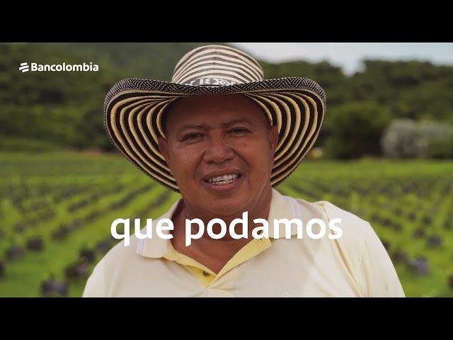 Bancolombia presenta Platos de Temporada