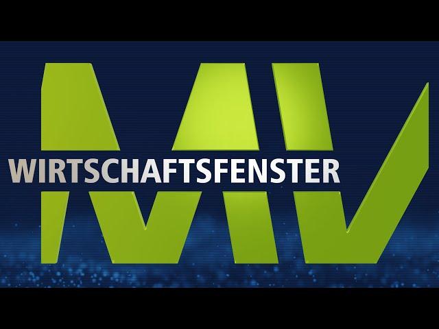 Wirtschaftsfenster MV (794)