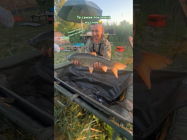 Лучшая ПОКЛЕВКА ДЛЯ УШЕЙ#рыбалка #carpfishing #shorts #fishing