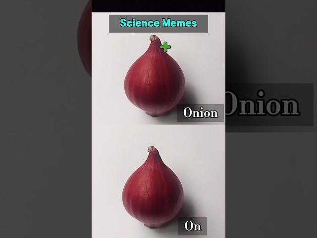 Onion vs On