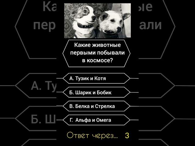 Какие животные первыми побывали в космосе? #саморазвитие #эрудиция #викторина #опрос #история