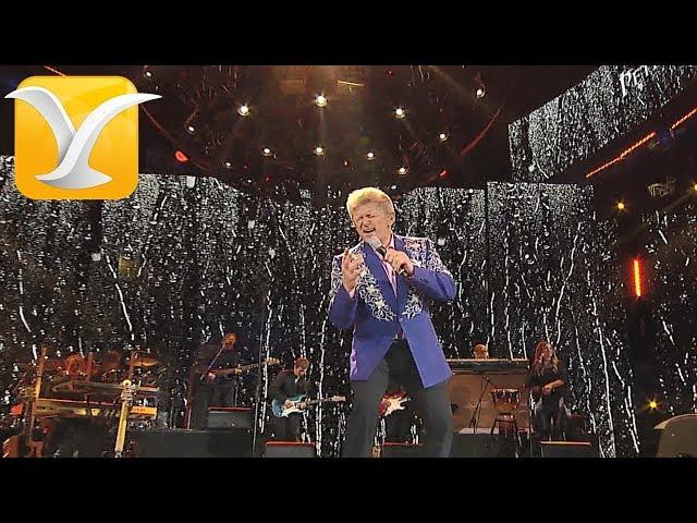 Peter Cetera - Hard to Say I'm Sorry - Festival de Viña del Mar 2017 HD 1080p