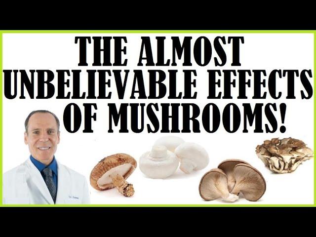 The Almost Unbelievable Effects Mushrooms With Dr Joel Fuhrman!