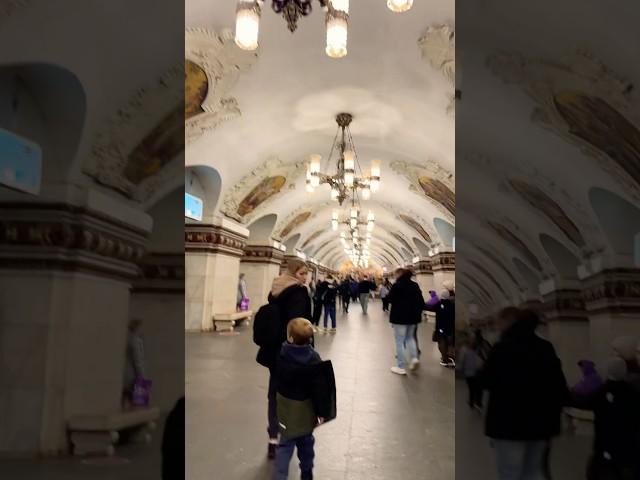 Мысли в слух #философия #цитаты #мысли #настроение #cat #цитатыосмысле #жизнь #кот #цитатыпрожизнь