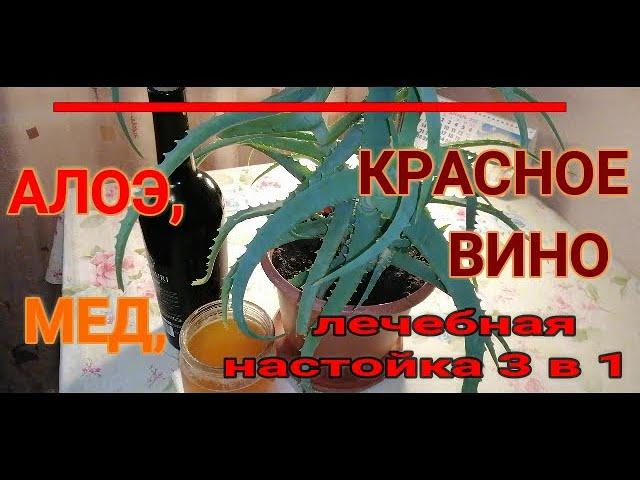 ЛЕЧЕБНАЯ НАСТОЙКА: АЛОЭ, МЕД, КРАСНОЕ ВИНО. 3 в 1. Проверенный рецепт