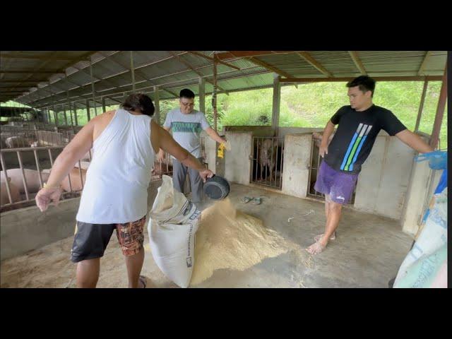 Secret Formulation of Grower Feed for Pigs in Palban's Farm (Mixing Method)