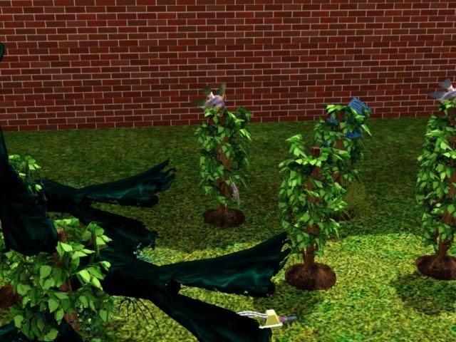 Sims 3. Omni plant.