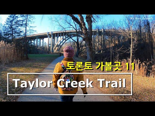 산책길로 그만인 곳 (Taylor Creek Trail)