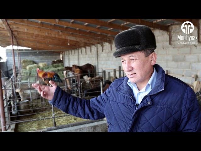 История успеха клиента "Мол Булак" Карабаева Ж. (Кыргызстан)