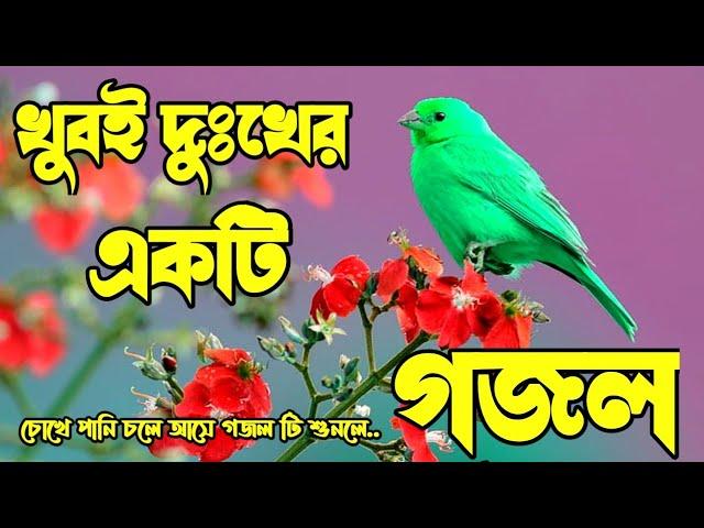 হৃদয় ছুঁয়ে যাওয়া গজল | গজল টি শুনলে চোখে পানি আসে যায় | এমন মরণ মাওলা তুমি কাউকে দিও না | Gojol