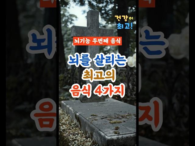 뇌를 살리는 최고의 음식4가지 #뇌건강#기억력향상
