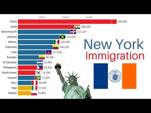 New York Immigration | Foreign Born Citizens | New York Metro Area