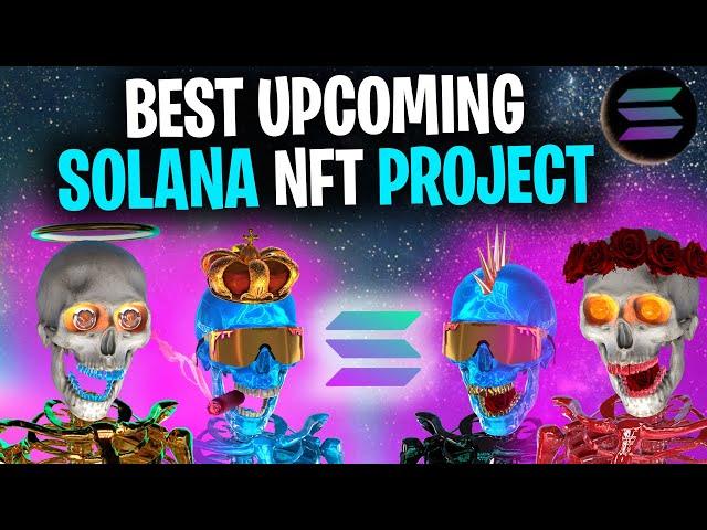 BEST UPCOMING SOLANA NFT PROJECT! *This Will Make You RICH* (Skulls.WTF Sol NFT Overview)